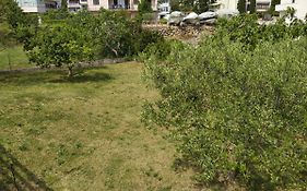 Apartman Avsec